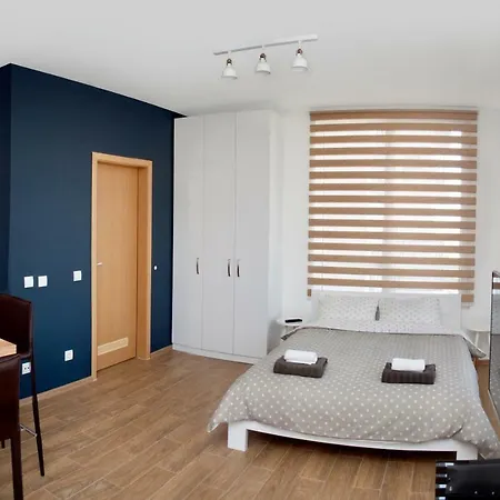 Luxury Studio Free Parking Space Apartment